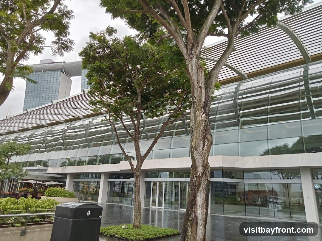 A wide shot of a modern building with a glass facade and a curved roof structure. Trees are in the foreground, with one large tree trunk prominently in the center. In the background, a tall skyscraper with a distinctive elevated structure is visible. The ground in front of the building is wet, suggesting recent rain. Several entrances with glass doors are visible along the facade.