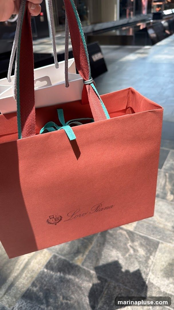 A person is holding two shopping bags, one a coral color with the Loro Piana logo and the other a white bag. The bags are on a tiled surface with shadows cast from sunlight.