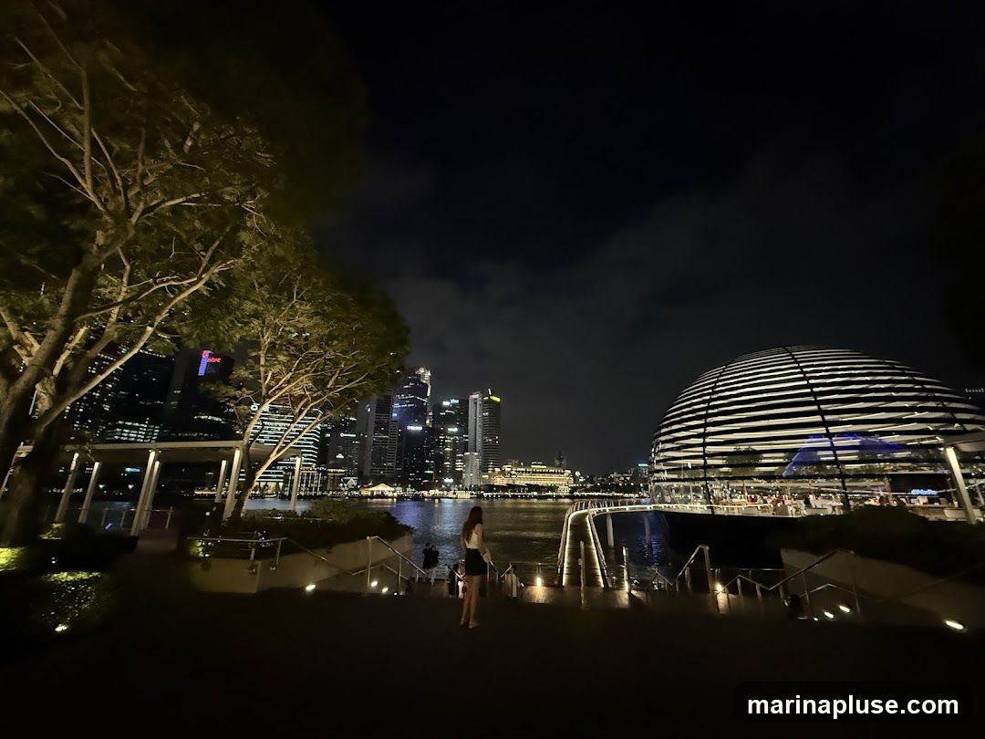 A nighttime view of the Marina Bay Sands area in Singapore. In the foreground, a tree with illuminated branches stands to the left, and a pathway with stairs leads down towards the water. A lone figure stands on the stairs. In the background, the iconic skyline of Singapore is visible, with numerous skyscrapers illuminated against the dark sky. To the right, a distinctive domed structure with horizontal banding is prominent, appearing to be a building or entertainment venue. The water reflects the city lights.
