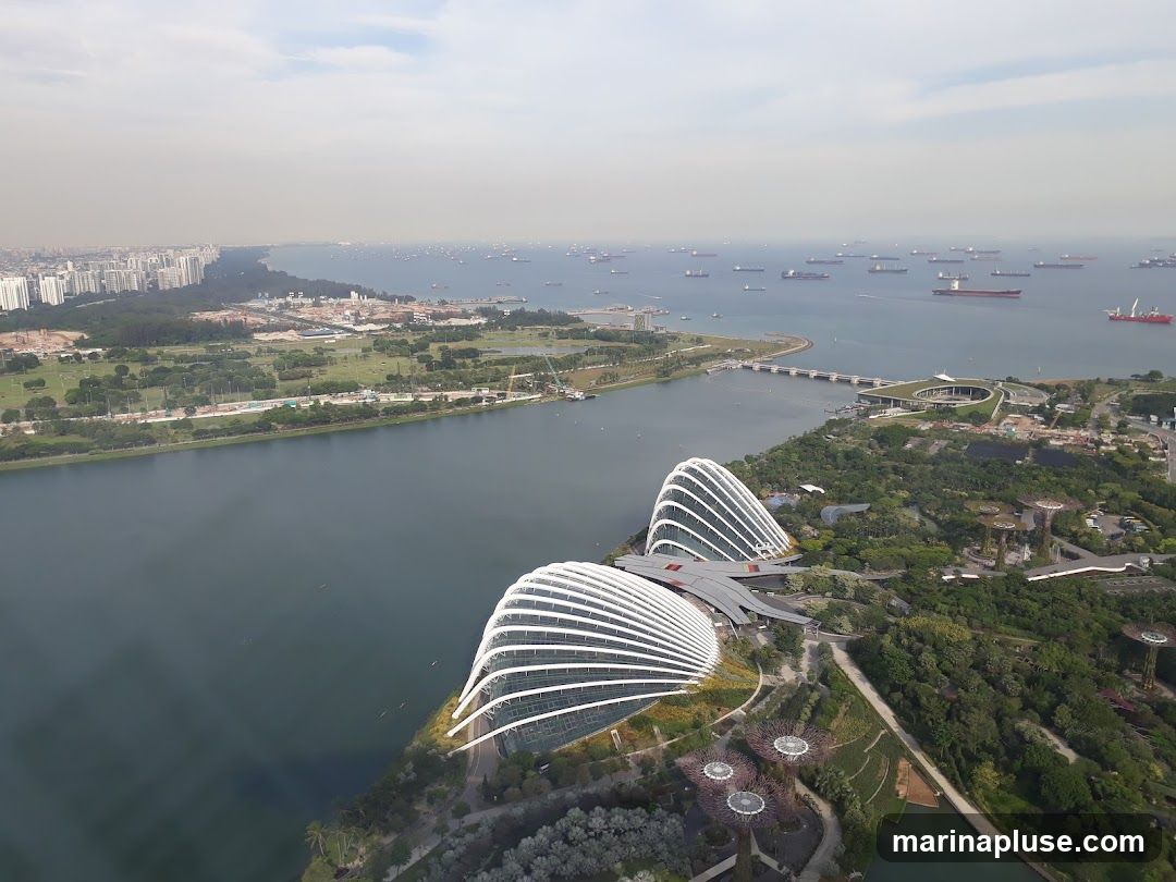An aerial view of Gardens by the Bay in Singapore, showcasing its iconic Supertree Grove and conservatories. The image also captures the surrounding cityscape, a body of water filled with ships, and a distant coastline with buildings. The sky is overcast, casting a soft light over the scene.