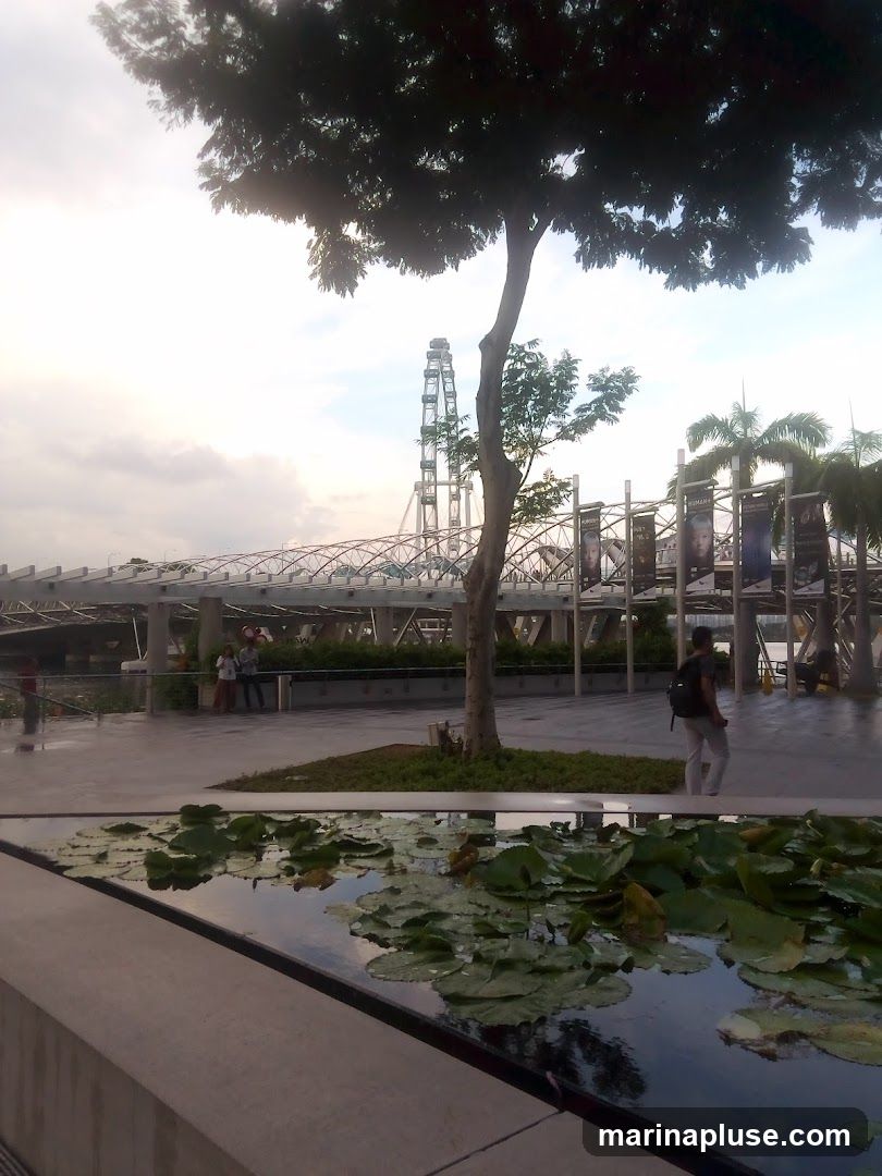A tranquil water feature with lily pads in the foreground, set against a backdrop of a modern bridge and a Ferris wheel. A lone tree stands between the water and the structures, with a person walking in the distance. The sky is overcast.