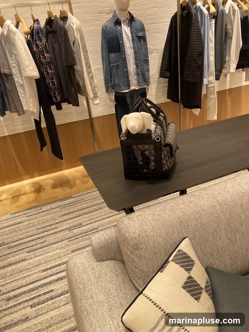 A Dior pet carrier with a white stuffed dog is displayed on a dark table in front of a clothing rack. The clothing rack features various men's apparel, including jackets, shirts, and pants, some with the Dior logo pattern. A mannequin dressed in a denim jacket and shirt stands to the left of the pet carrier. The scene is set in a store with a carpeted floor and a sofa with patterned cushions in the foreground.