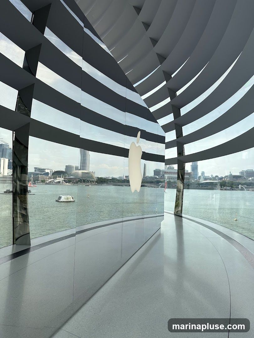 An interior view of a modern Apple Store, featuring a large, illuminated Apple logo on a glass wall. The store has a curved design with reflective surfaces and a grey speckled floor. Large windows offer a panoramic view of a waterfront cityscape with buildings and boats. The ceiling has a distinctive curved, slatted design.