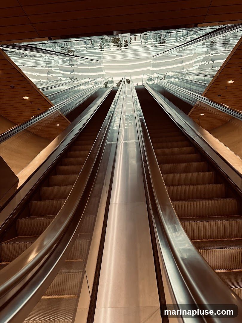 A low-angle shot looking up at a set of escalators in a modern building. The escalators are made of metal and glass, with wooden accents on the ceiling. The reflective ceiling creates a distorted, abstract view of the space above.