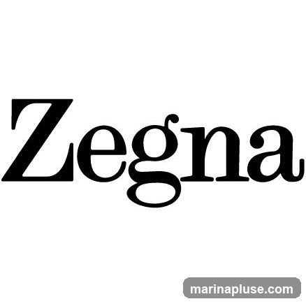 The word "Zegna" is displayed in a large, black, serif font against a white background.