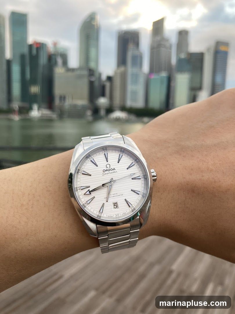 A close-up shot of a person's wrist wearing a silver Omega Seamaster watch. The watch has a white dial with silver hour markers and hands. The date is visible at the 6 o'clock position. In the background, a blurred cityscape with tall buildings and a body of water can be seen under a cloudy sky.