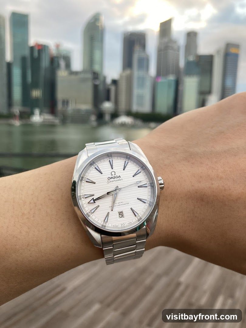 A close-up shot of a person's wrist wearing a silver Omega Seamaster watch. The watch has a white dial with silver hour markers and hands. The date is visible at the 6 o'clock position. In the background, a blurred cityscape with tall buildings and a body of water can be seen under a cloudy sky.
