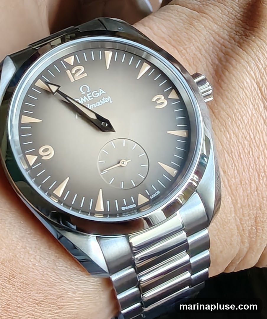 A close-up shot of an Omega watch on a person's wrist. The watch has a grey dial with gold-toned hour markers and hands. The Omega logo and "Railmaster" text are visible on the dial. The watch has a stainless steel bracelet.