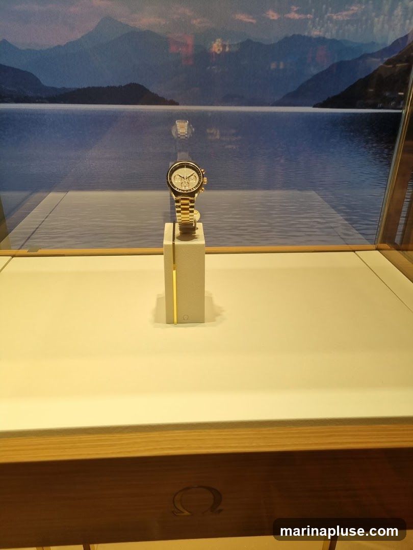 A gold watch is displayed on a stand in a store window. The background is a scenic image of mountains and a lake. The Omega logo is visible on the stand and on the wooden trim of the display case.