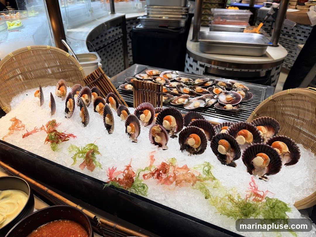 A display of fresh scallops on ice, garnished with colorful seaweed. In the background, more scallops are being grilled on a rack. Two bowls of sauces are visible in the foreground.
