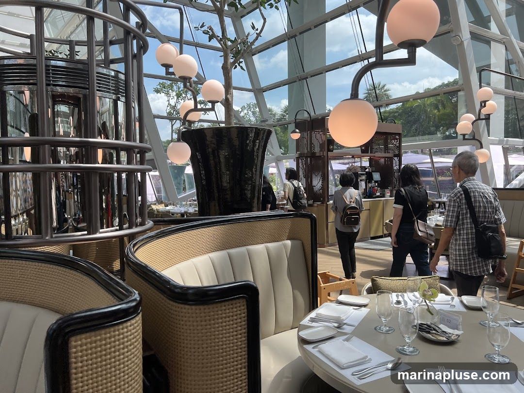 The image shows the interior of a modern restaurant with a high ceiling and large windows. The seating area features curved booths with rattan accents and plush upholstery. Dining tables are set with white tablecloths, silverware, and glassware. Decorative pendant lights with globe shades hang from the ceiling. In the background, patrons are seen walking near a counter area, and there are glimpses of outdoor greenery through the windows.