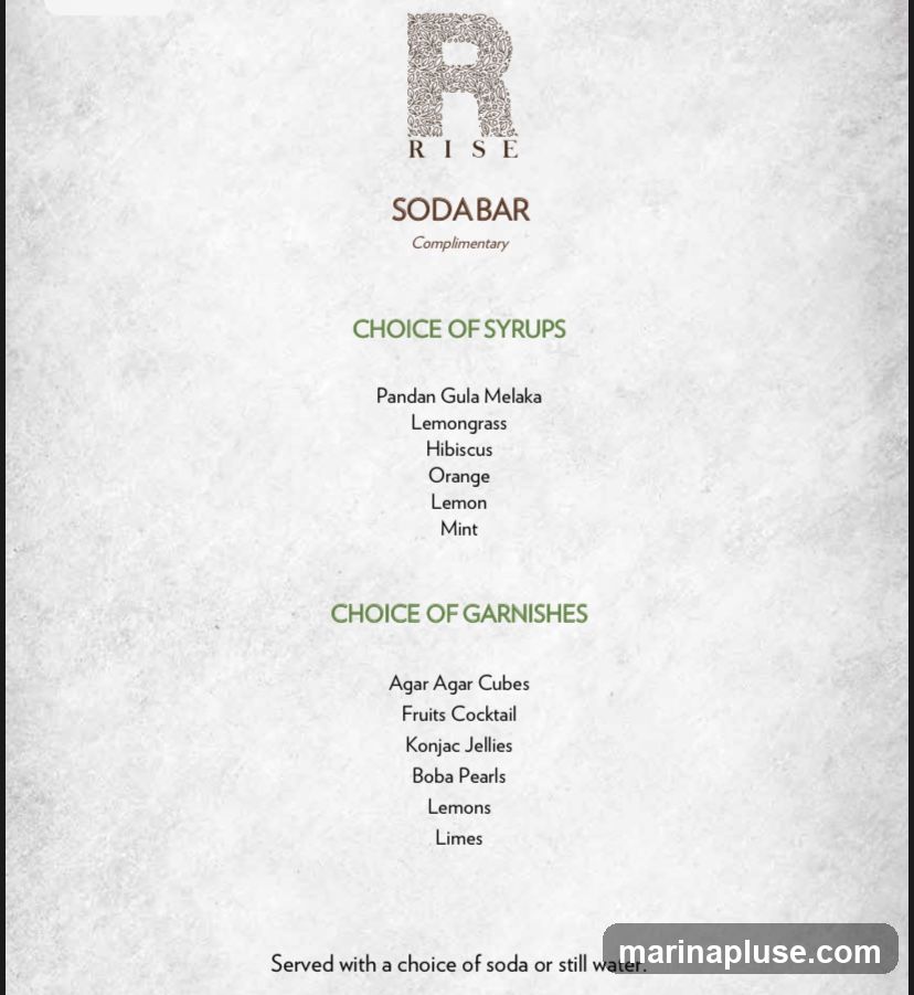 A menu for a soda bar offering a choice of syrups and garnishes.