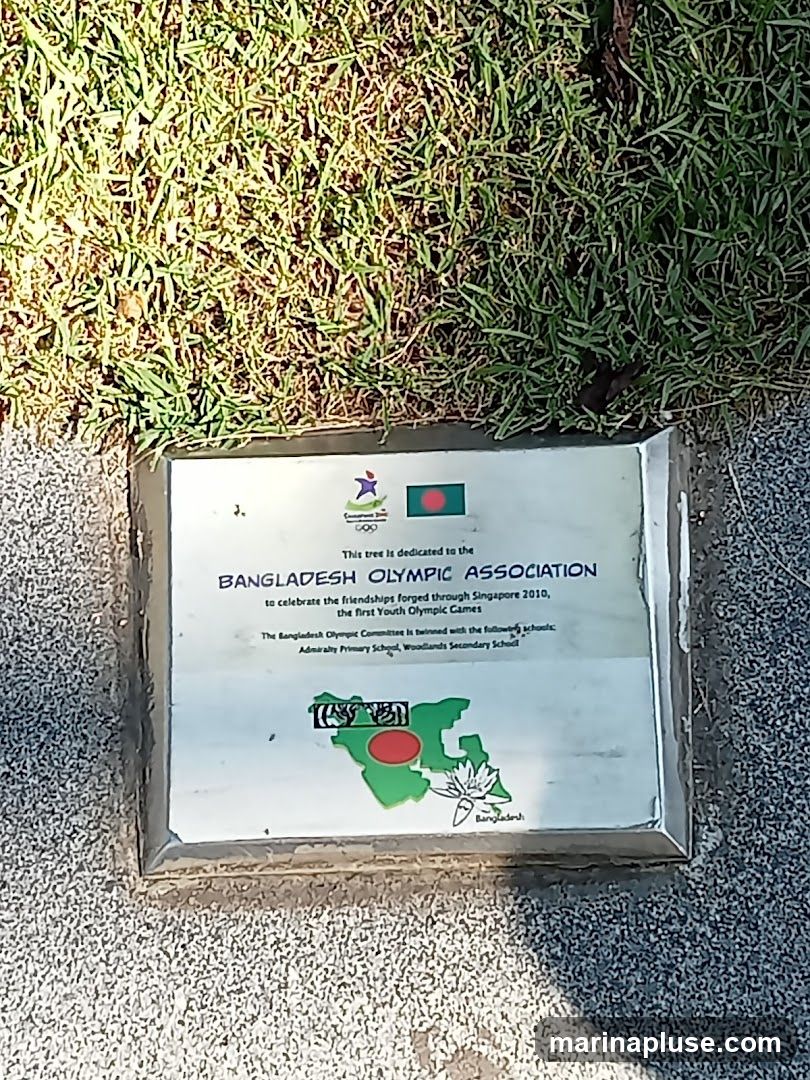 A plaque dedicated to the Bangladesh Olympic Association, commemorating friendships forged through the first Youth Olympic Games in Singapore in 2010. It also mentions the twinning of the Bangladesh Olympic Committee with Admiralty Primary School and Woodlands Secondary School. The plaque features the Bangladesh flag, a map of Bangladesh with a red circle, and a lotus flower.