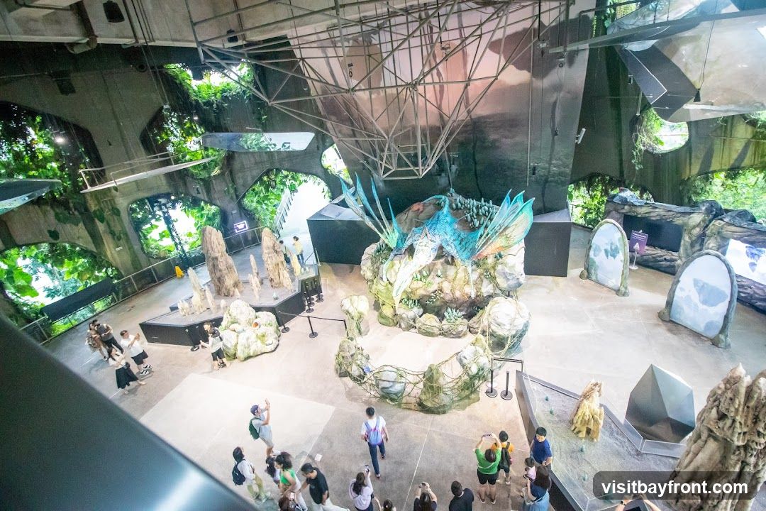 Cloud Forest