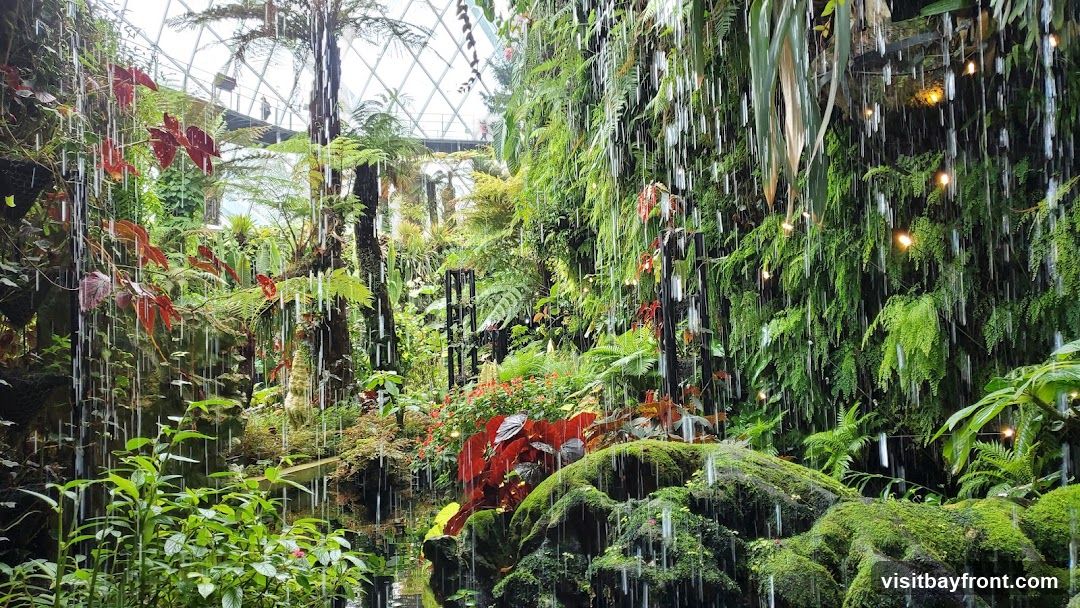 A lush indoor garden features a cascading waterfall surrounded by dense green foliage, ferns, and red-leafed plants. Small lights are interspersed among the greenery, creating a magical ambiance. In the background, a geodesic dome structure and elevated walkways suggest an enclosed botanical exhibition.