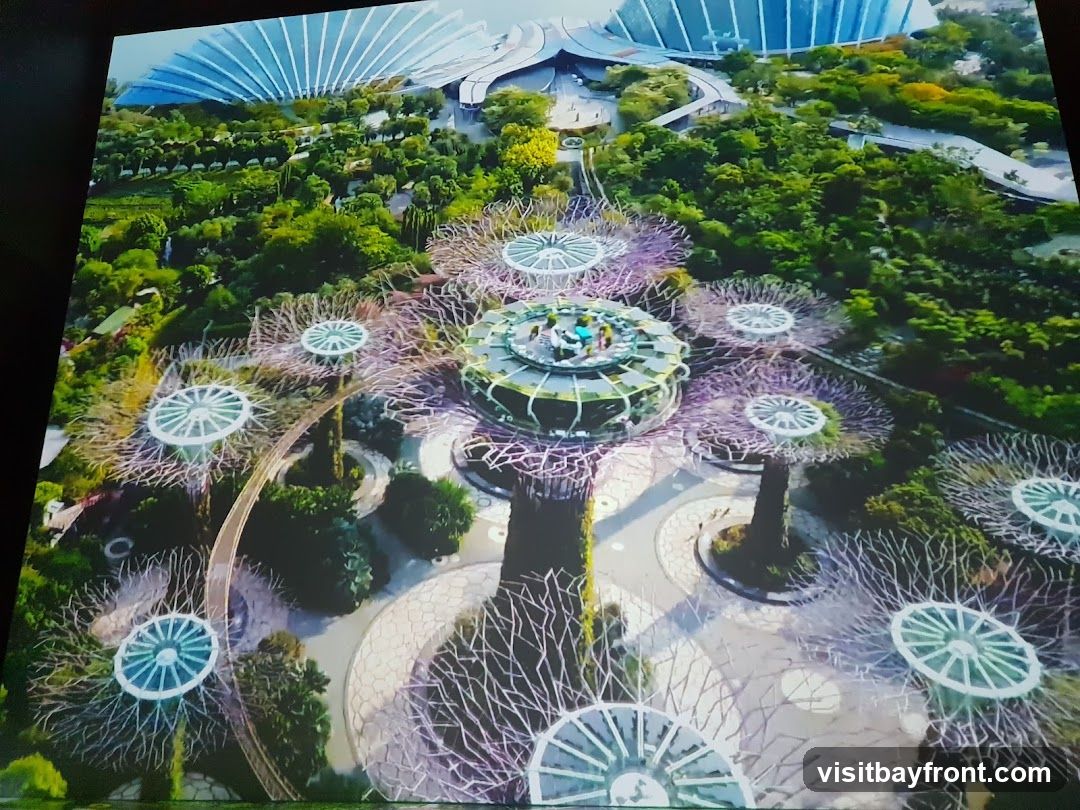 An aerial view of Gardens by the Bay in Singapore, showcasing the Supertree Grove with its distinctive tree-like vertical gardens and the iconic domes of the Cloud Forest and Flower Dome in the background.