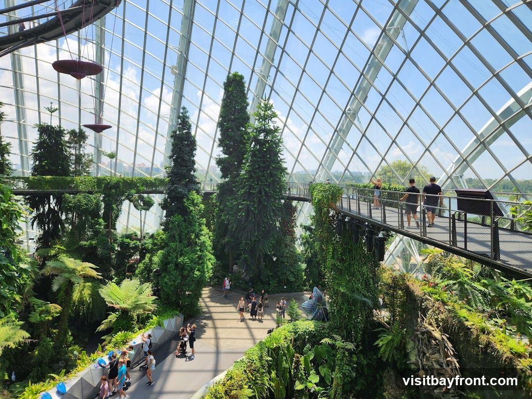 An interior view of a large, climate-controlled botanical garden housed within a geodesic dome structure. Tall evergreen trees and lush foliage are visible, with an elevated walkway winding through the greenery. Several people are seen walking on the walkway and on the ground level, enjoying the environment. The glass ceiling allows natural light to filter in, illuminating the diverse plant life.