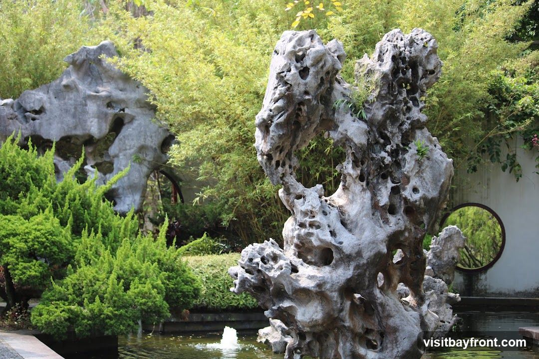 A serene garden scene featuring large, porous rock formations resembling sculptures. In the foreground, a prominent, intricately shaped rock stands near a pond with a small fountain. To the left, a cluster of vibrant green, conical shrubs adds a lush contrast. Behind the rocks and shrubs, tall bamboo stalks create a dense, verdant backdrop. A circular opening in a white wall on the right offers a framed view of more greenery. The overall impression is one of tranquility and natural beauty, characteristic of a traditional Asian garden.