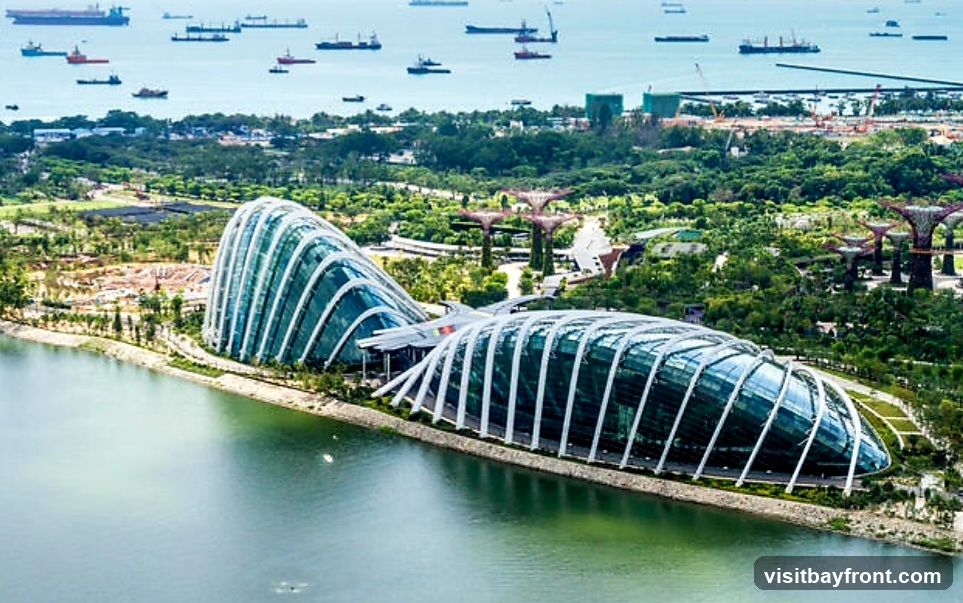 An aerial view of Gardens by the Bay in Singapore, featuring the iconic Flower Dome and Cloud Forest conservatories. The large, glass-domed structures are situated along the waterfront, surrounded by lush greenery and the distinctive Supertree Grove. In the background, numerous cargo ships are visible in the sea, indicating a busy port.