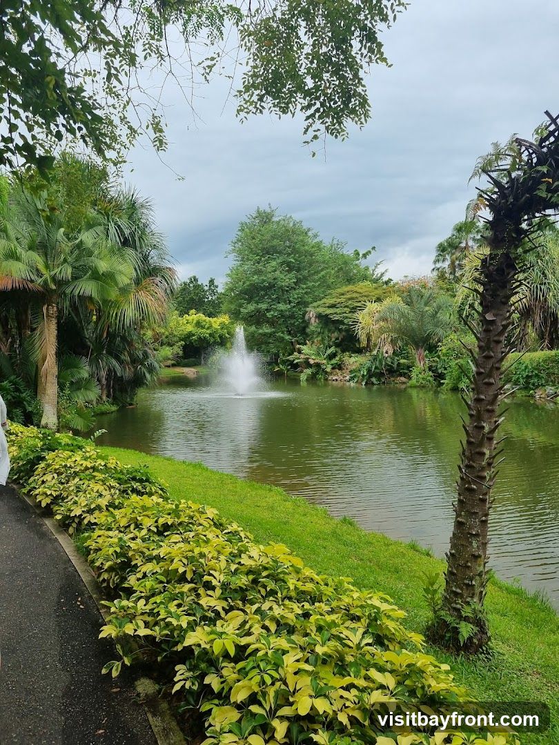 A serene view of a garden featuring a tranquil pond with a central fountain. Lush green grass lines the edge of the pond, bordered by vibrant, variegated shrubs. Various palm trees and other tropical foliage create a dense, verdant backdrop under a cloudy sky. A paved pathway is visible on the left side of the image.