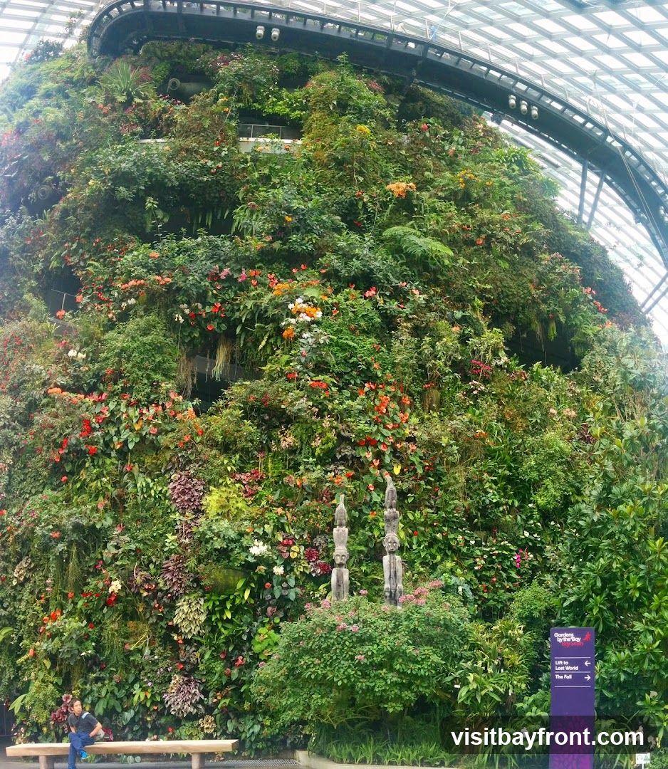 A vast indoor vertical garden with a diverse array of plants, flowers, and foliage. The greenery covers a large, curved wall, with various shades of green, red, and orange flowers interspersed throughout. Two wooden totem-like sculptures stand in front of the wall. In the foreground, a person sits on a wooden bench. A purple signpost with white text indicates directions to "Gardens by the Bay," "Lift to Cloud Forest," and "The Fall." The structure is enclosed by a glass and metal roof.