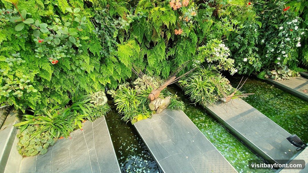 A vibrant vertical garden with a variety of green plants, including ferns and flowering bushes, cascades down a wall. In front of the garden, a series of shallow water channels are visible, separated by stone pathways. The water is filled with numerous coins, suggesting a wishing well or decorative feature. Metal sculptures resembling dragonflies are placed on the pathways, adding an artistic touch to the serene environment.