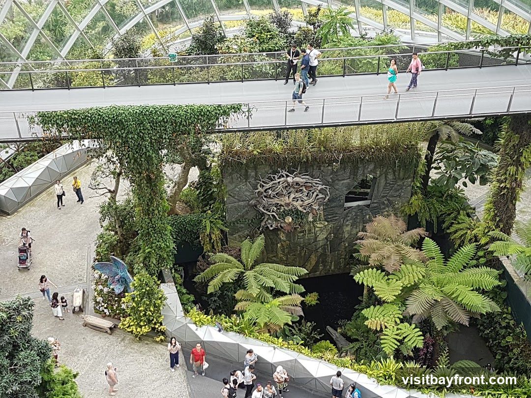 An elevated walkway winds through a lush indoor botanical garden, with people strolling along. Below, a diverse collection of plants, including ferns and vines, surrounds a small pond and a rock formation. A decorative sculpture of a blue bird is visible near the walkway.