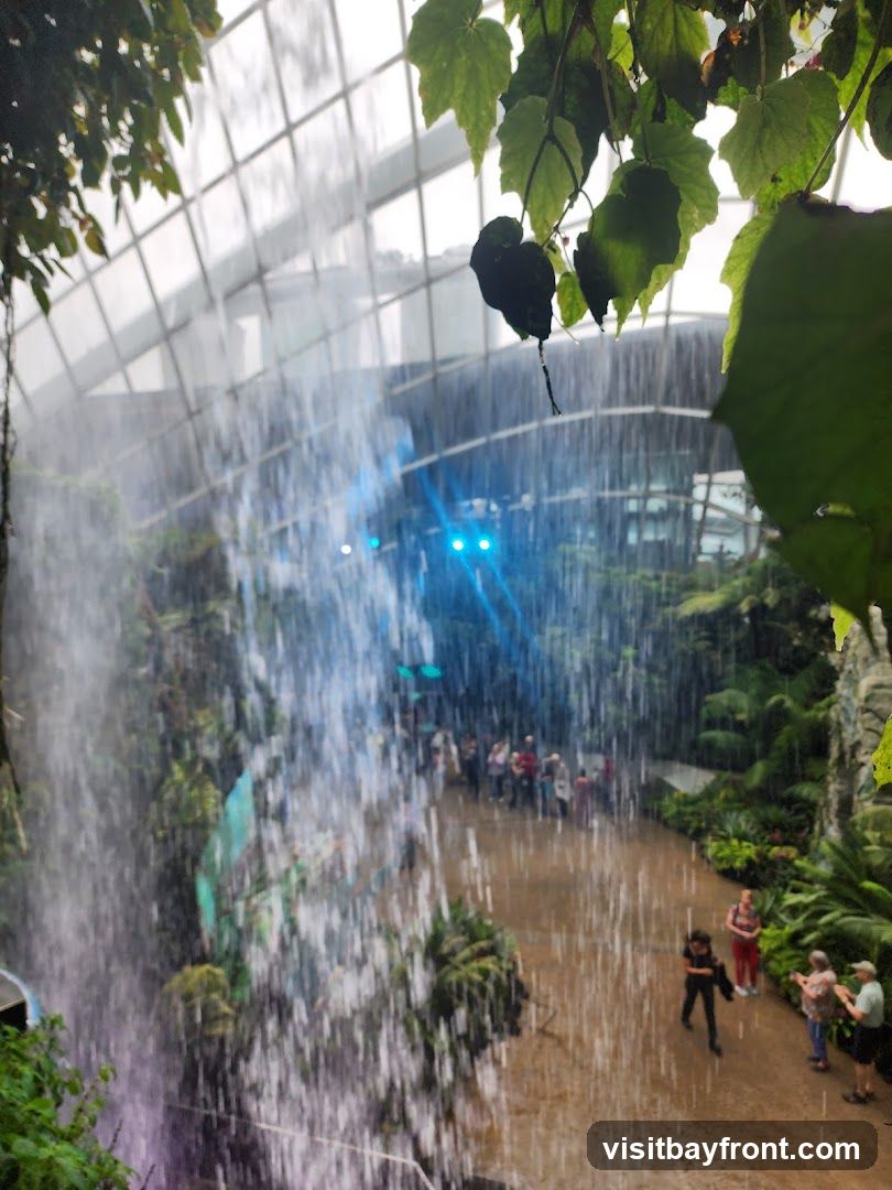 A large indoor waterfall cascades down a rocky, plant-covered wall within a geodesic dome structure. People are visible walking along a wet pathway in the background, observing the waterfall and lush greenery. The ceiling of the dome is made of glass panels, and some large green leaves hang into the foreground from above. Blue lights are visible in the background, illuminating the scene.