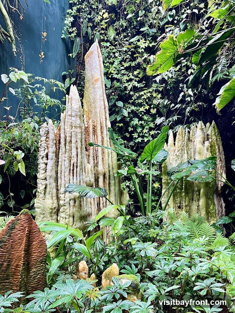 A display of tall, cream-colored, stalagmite-like formations surrounded by dense, vibrant green foliage. The formations have a textured, drip-like appearance. In the foreground, various plants with large, broad leaves and smaller, intricate leaves are visible. A reddish-brown, ribbed structure is partially seen on the left. The background features a dark, textured wall covered in climbing vines and leaves.
