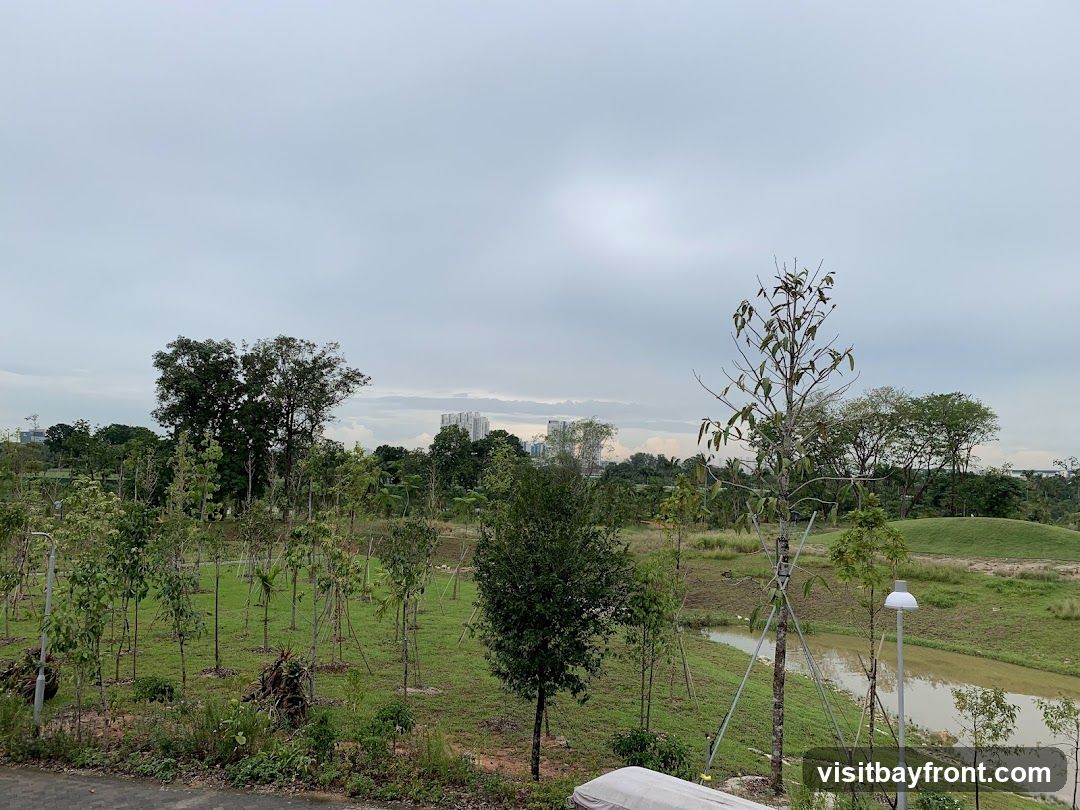 A view of a park with many young trees and some larger trees in the background. There is a body of water to the right and buildings visible in the distance under a cloudy sky.