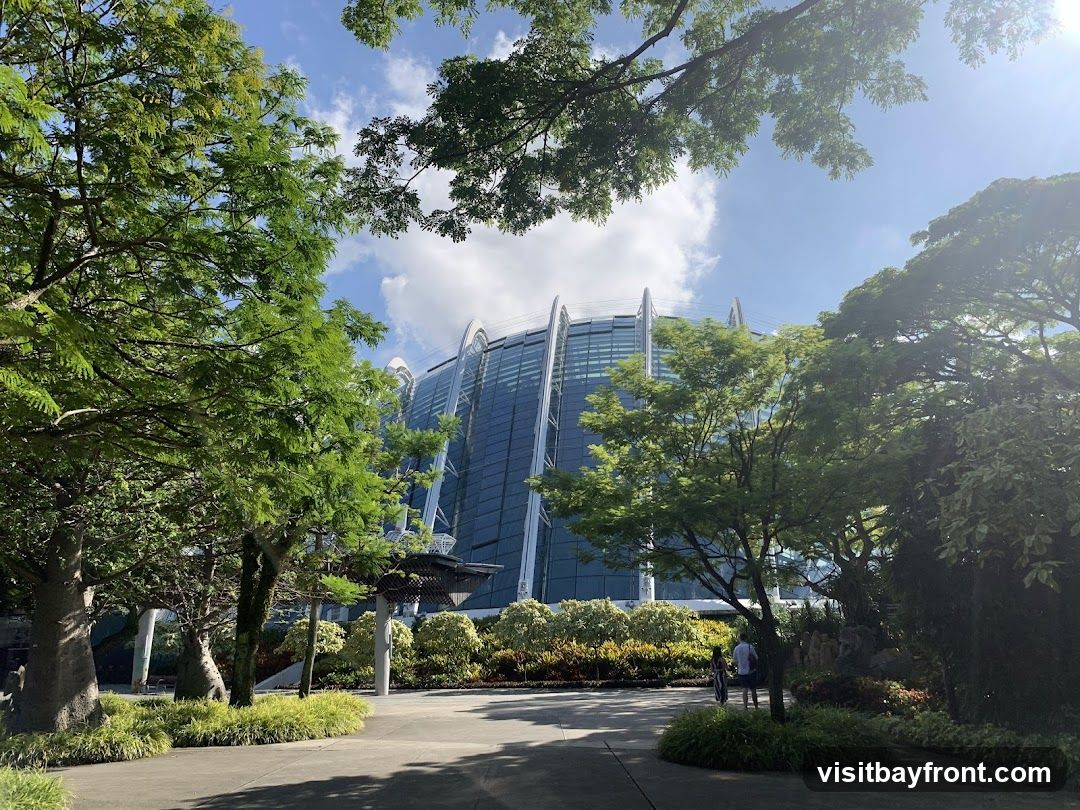 A view of the Cloud Forest dome at Gardens by the Bay, Singapore, framed by lush green trees and foliage. The dome's distinctive glass and steel structure is visible against a bright blue sky with scattered clouds. A paved walkway leads towards the dome, with manicured gardens and a few visitors in the foreground.