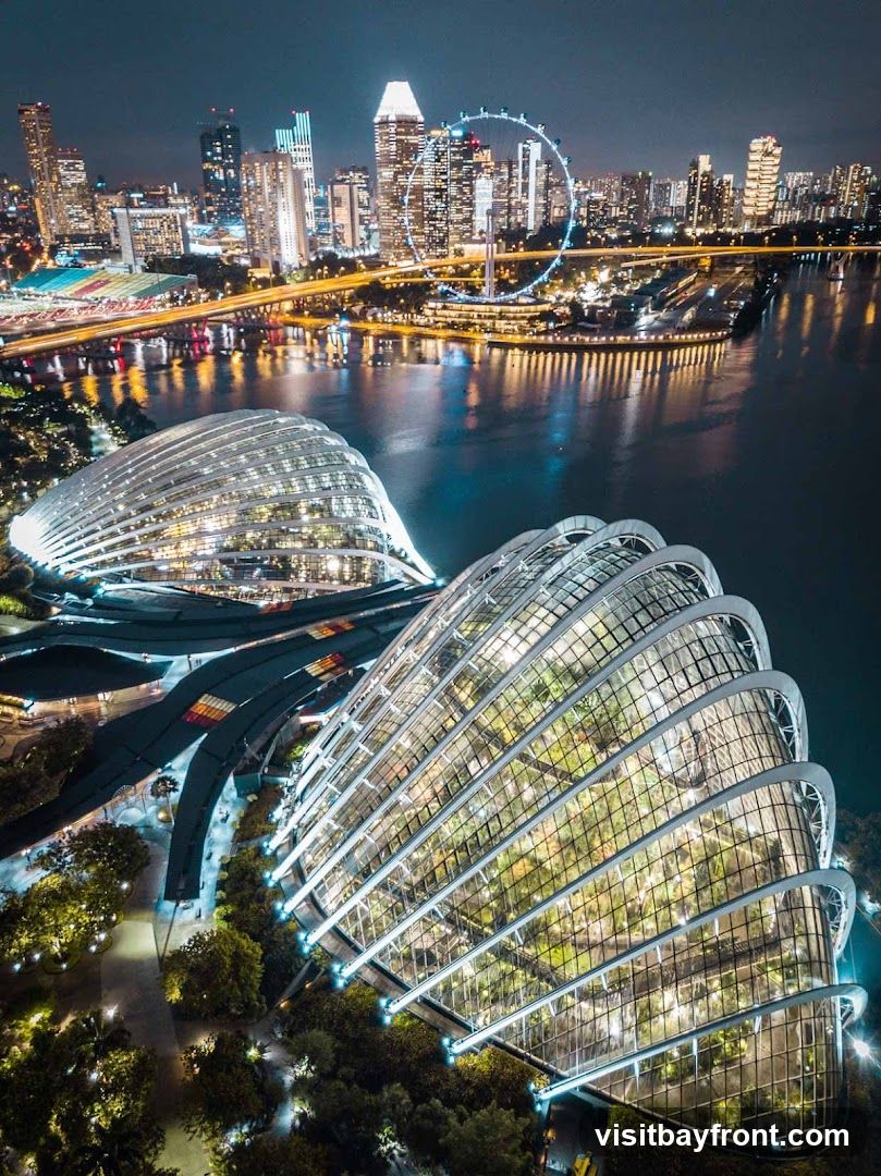 An aerial nighttime view of the illuminated domes of Gardens by the Bay in Singapore, with the city skyline and Singapore Flyer in the background. The domes, with their distinctive curved glass structures, house lush greenery visible from the outside. The surrounding area is lit by pathways and trees, and the water reflects the city lights.