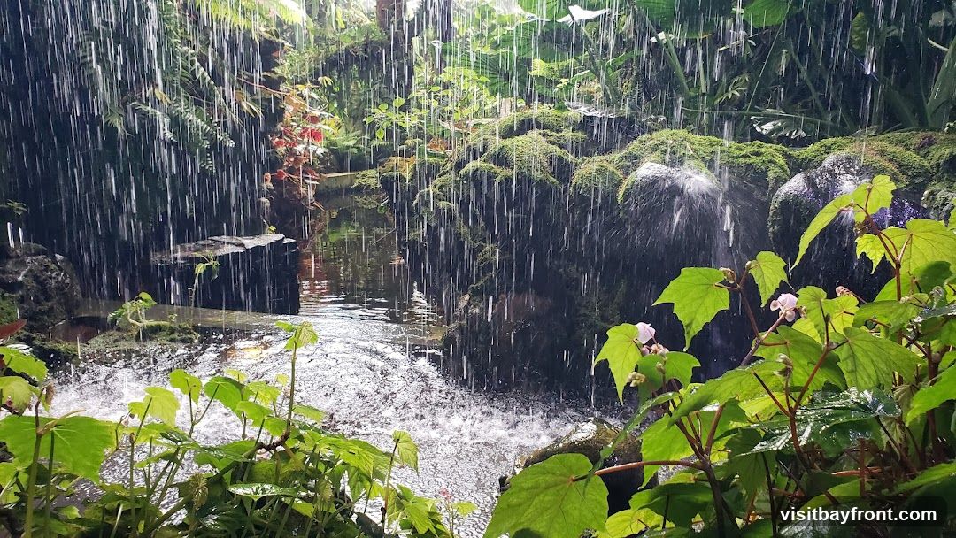 A serene scene of a waterfall cascading down moss-covered rocks amidst dense foliage. The water creates a misty curtain, with sunlight filtering through the leaves, highlighting the vibrant green plants and the sparkling water. Small pink flowers are visible on a plant in the foreground.