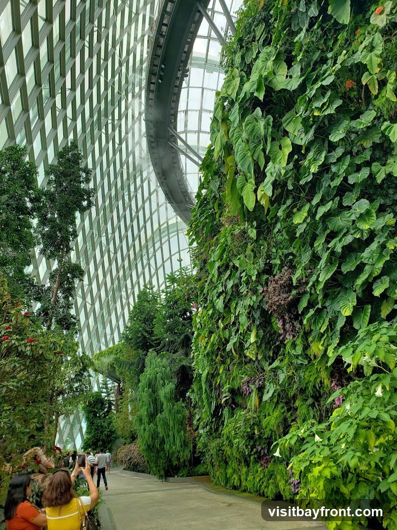 A pathway curves through a lush indoor botanical garden, with a towering vertical wall of green plants on the right. The left side of the image features a modern glass structure with a grid pattern, and a curved elevated walkway with mist spraying. Several trees and various foliage are visible, creating a dense, verdant atmosphere. A few people are walking along the path, with one person taking a photo.