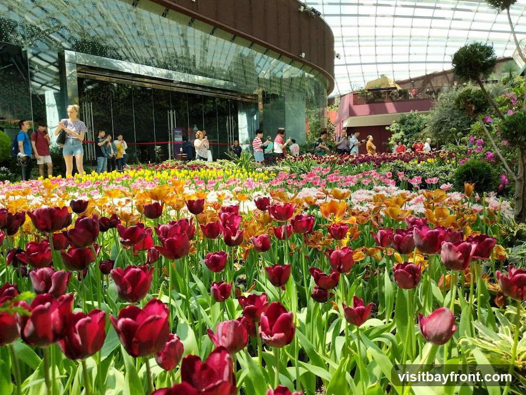 A vibrant display of tulips in various shades of red, orange, yellow, and pink, with a blurred background of people and a glass-domed structure. The flowers are densely planted, creating a colorful carpet.