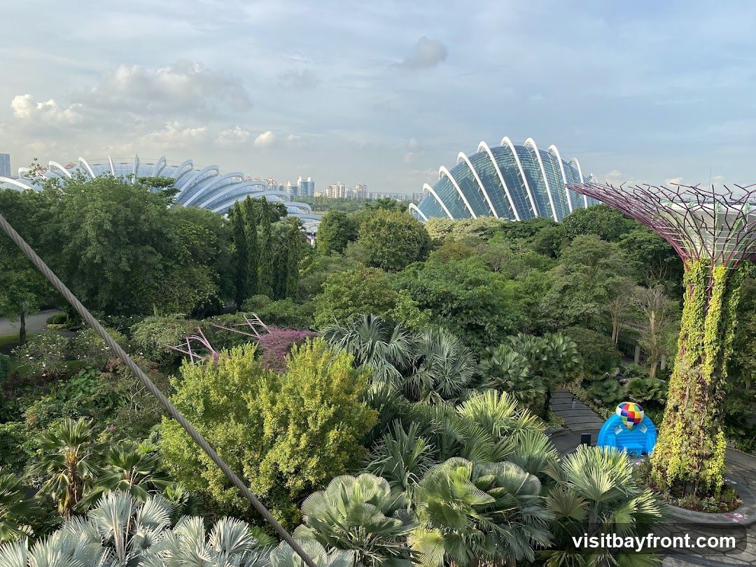 An aerial view of Gardens by the Bay in Singapore, featuring lush greenery, futuristic conservatories, and the iconic Supertrees. The Flower Dome and Cloud Forest conservatories are visible in the background, with their distinctive geodesic designs. In the foreground, various palm trees and tropical plants create a dense jungle-like atmosphere. A Supertree, covered in vegetation, stands prominently on the right, with a colorful inflatable structure at its base. The sky is partly cloudy, suggesting it might be late afternoon or early morning.