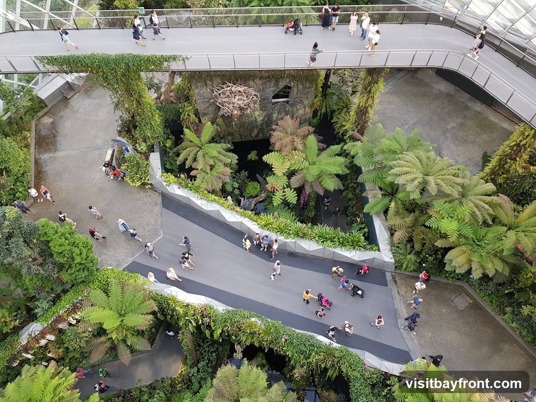 An aerial view shows people strolling on elevated walkways and pathways within a verdant indoor garden. The walkways are surrounded by a diverse array of plants, including large ferns and climbing vines, creating a natural and immersive environment. Several individuals are seen walking, some with strollers, enjoying the botanical display.
