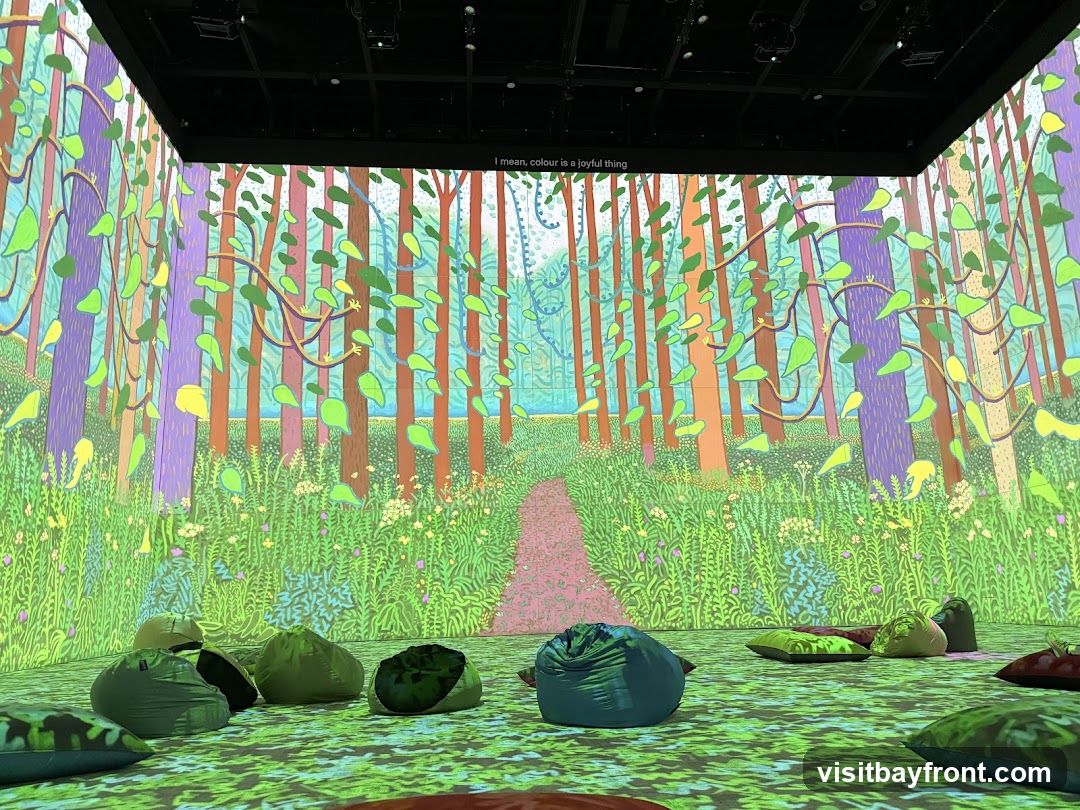 An immersive art installation featuring a vibrant projection of a forest scene on the walls and floor. The projection displays colorful trees with green leaves, a winding path, and lush foliage. Beanbag chairs and cushions are scattered on the floor, inviting viewers to relax and experience the artwork. A quote, "I mean, colour is a joyful thing", is visible on the upper wall.