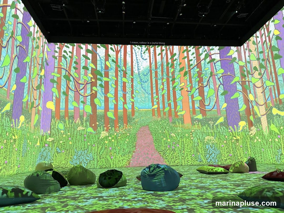 An immersive art installation featuring a vibrant projection of a forest scene on the walls and floor. The projection displays colorful trees with green leaves, a winding path, and lush foliage. Beanbag chairs and cushions are scattered on the floor, inviting viewers to relax and experience the artwork. A quote, "I mean, colour is a joyful thing", is visible on the upper wall.