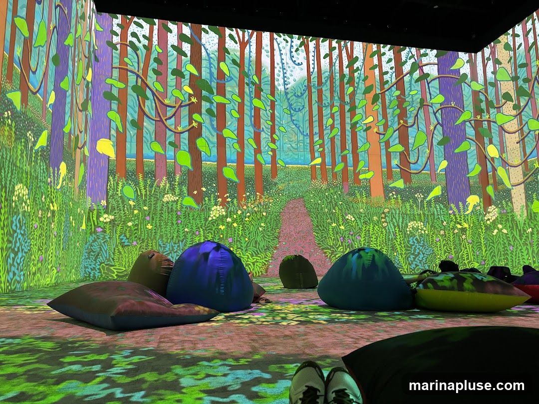 An immersive art installation projects a vibrant forest scene onto the walls and floor of a room. The projection features tall, colorful trees with green leaves, a winding path, and a field of wildflowers. Several large, comfortable beanbag chairs are scattered throughout the space, inviting visitors to relax and enjoy the visual experience. The floor also displays a projected pattern resembling dappled sunlight.