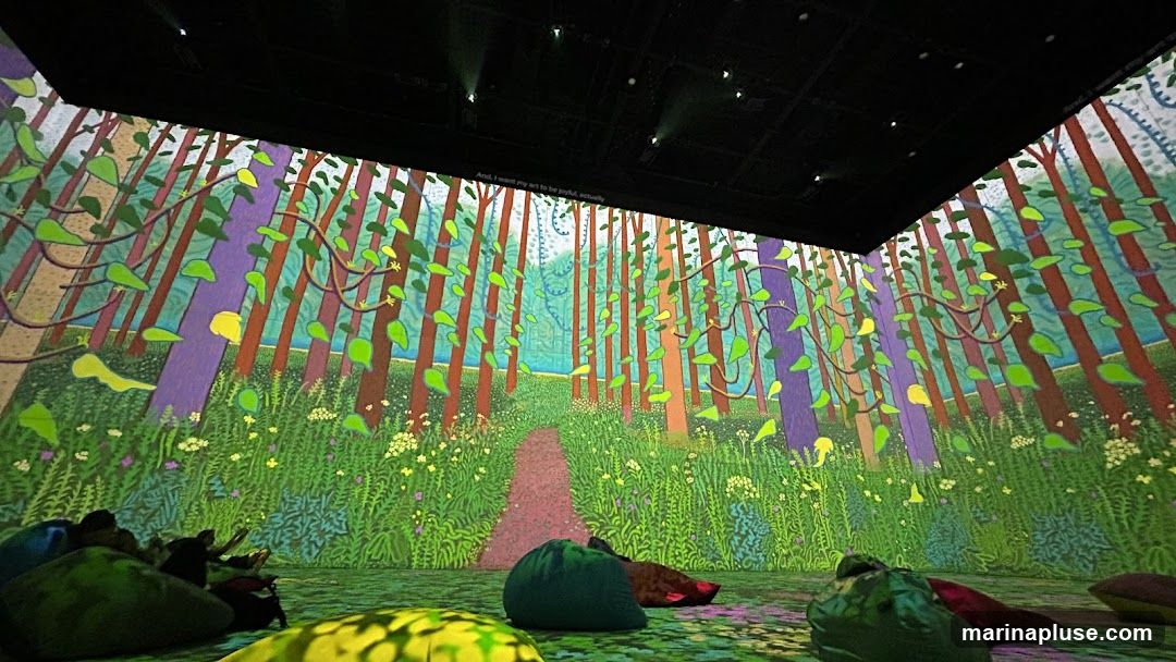 An immersive art installation projects a vibrant forest scene onto the walls and floor of a dark room. The projection features tall, stylized trees with purple and brown trunks, intertwined with green vines and leaves. The forest floor is depicted as a lush carpet of green grass and small white and purple flowers, with a winding dirt path leading into the distance. Several beanbag chairs are scattered on the floor, some occupied by silhouetted figures, suggesting visitors are relaxing and enjoying the experience. A line of text is visible at the top of the projection: "And, I want my art to be joyful, actually.".