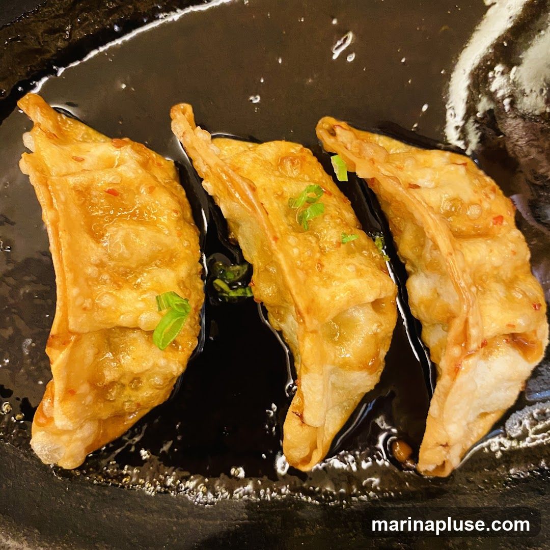 Three golden-brown pan-fried dumplings are served in a dark sauce, garnished with chopped green onions and chili flakes.