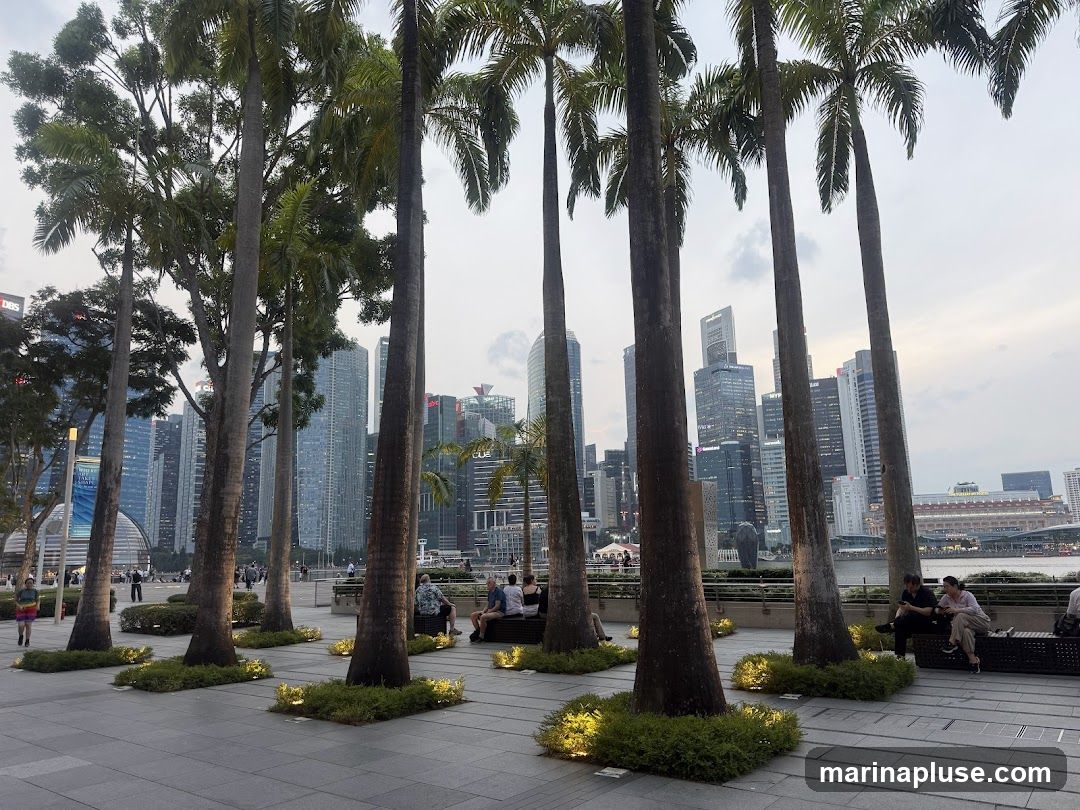 A view of a city skyline with numerous tall buildings, seen through a line of palm trees. People are seated on benches in the foreground, and the ground is paved with stone tiles. The lighting suggests it is either early morning or late evening.