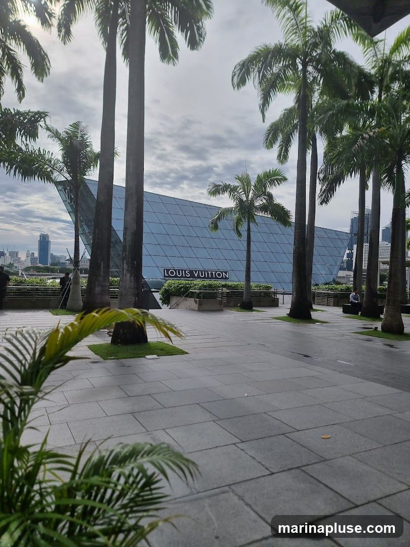 Le Noir @ MBS