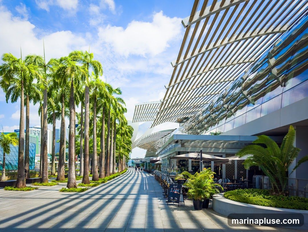 A sunny day with a clear blue sky and scattered clouds. A row of tall palm trees lines a paved walkway, casting long shadows. To the right, a modern building with a reflective glass facade and a slatted roof overhangs an outdoor seating area with tables and umbrellas. Lush green plants and bushes are visible in planters and along the walkway. Several people are walking in the distance.