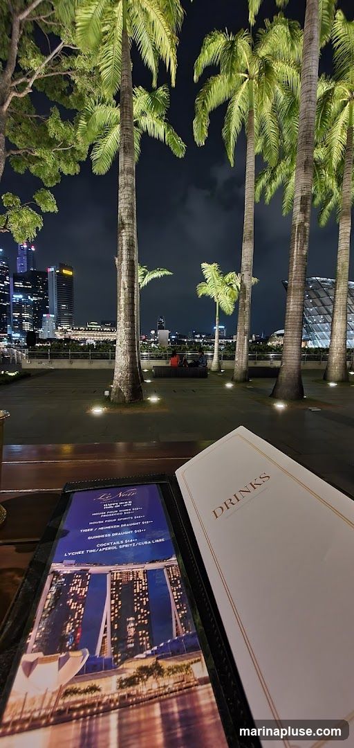 A menu is open on a table, with a view of palm trees and a city skyline at night. The menu has a section titled "DRINKS" and another page with a picture of the Marina Bay Sands hotel.