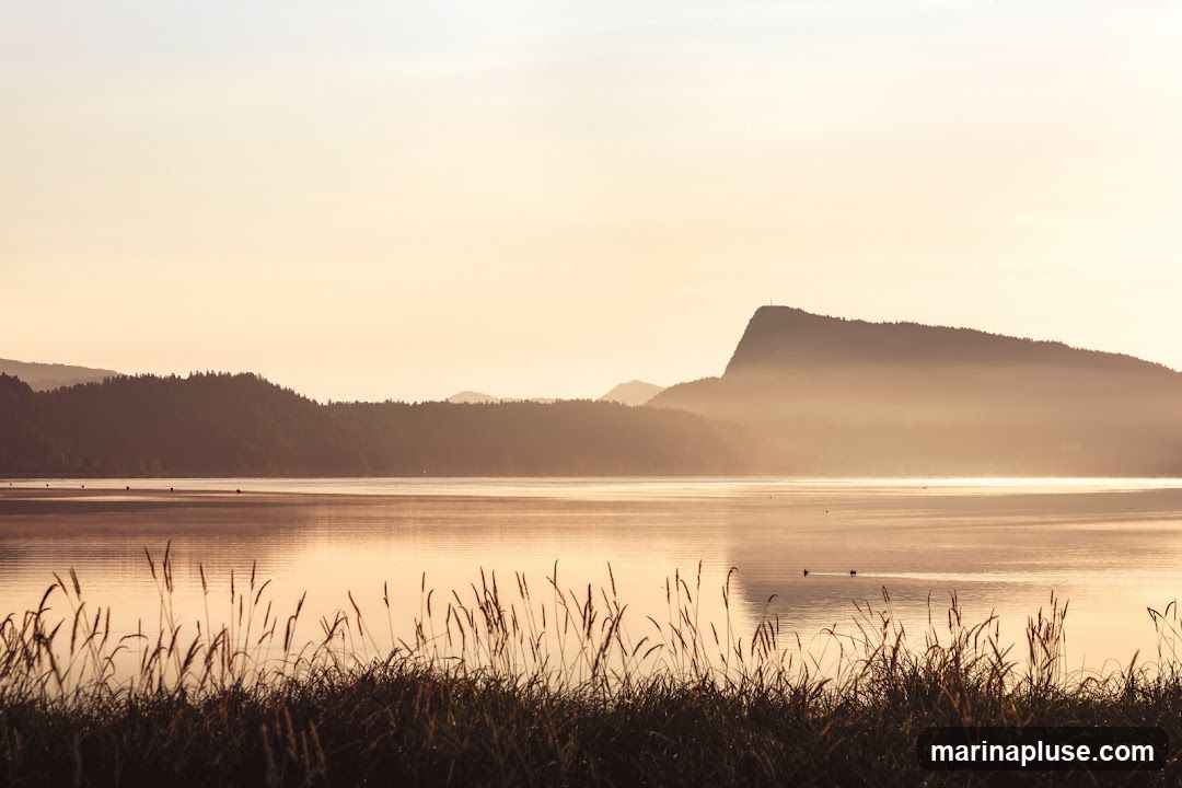 A serene landscape featuring rolling hills and a prominent mountain peak shrouded in mist, bathed in the warm, soft light of sunrise or sunset. Tall grasses in the foreground are silhouetted against the calm, reflective water. A few birds are visible on the water's surface.
