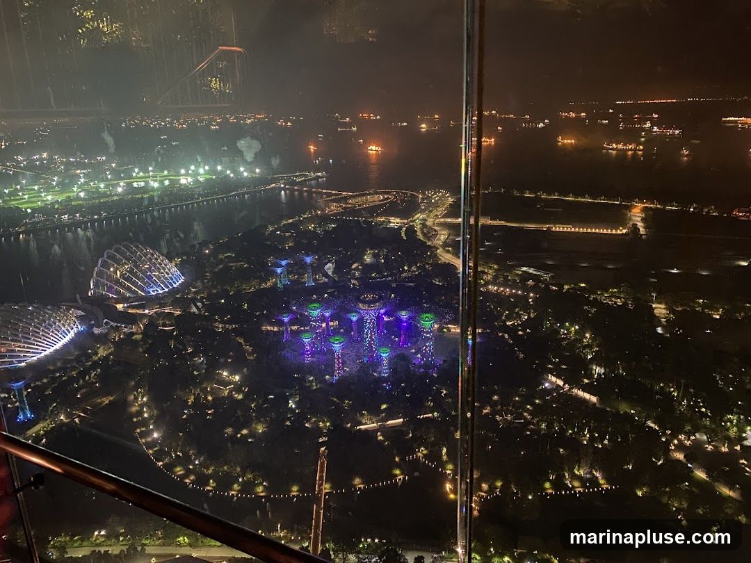 An aerial view of Gardens by the Bay in Singapore at night. The Supertree Grove is illuminated with colorful lights, and the domes of the Cloud Forest and Flower Dome are visible. The Singapore Strait is in the background, dotted with numerous ships. The view is taken from a high vantage point, possibly a skyscraper or observation deck, with a railing in the foreground.
