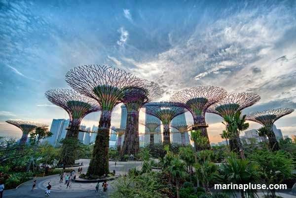 A wide shot of the Supertree Grove at Gardens by the Bay, Singapore, under a dramatic cloudy sky. The iconic, tree-like vertical gardens are illuminated, with their intricate lattice structures reaching towards the sky. In the background, modern skyscrapers are visible, including the Marina Bay Sands hotel. People are seen walking around the grounds, enjoying the park. Lush tropical foliage surrounds the Supertrees, creating a vibrant and futuristic landscape.