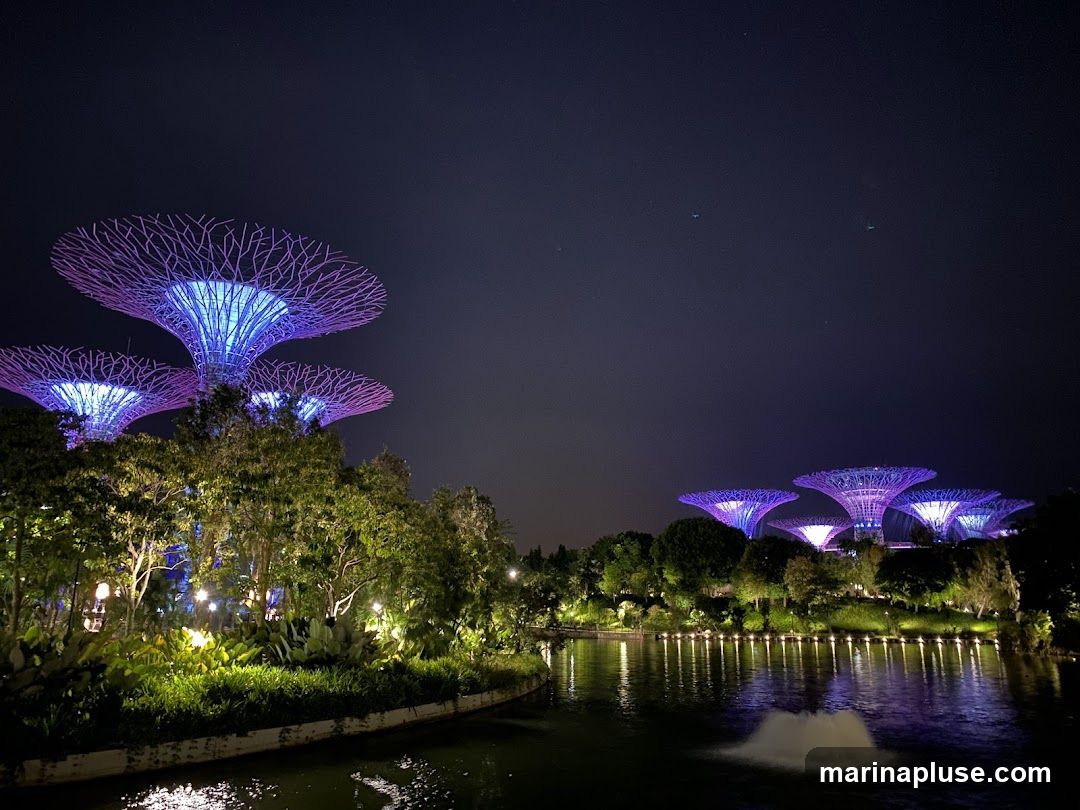 A nighttime view of the Supertree Grove at Gardens by the Bay, Singapore. The iconic structures are illuminated with vibrant purple and blue lights, creating a surreal and futuristic landscape. Lush greenery surrounds the base of the Supertrees, and a calm body of water in the foreground reflects the colorful lights. A fountain is visible in the water, adding to the serene ambiance. The dark night sky provides a stark contrast to the illuminated structures.